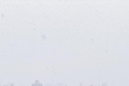 东京不下雪什么意思