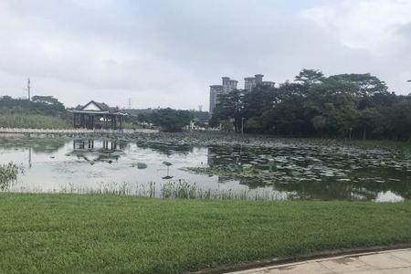 松山湖风景区几点关门