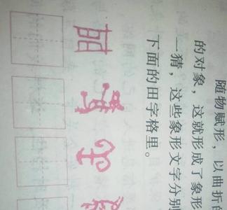 腐换个偏旁是个什么字