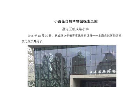 嘉定区新成路小学怎么样