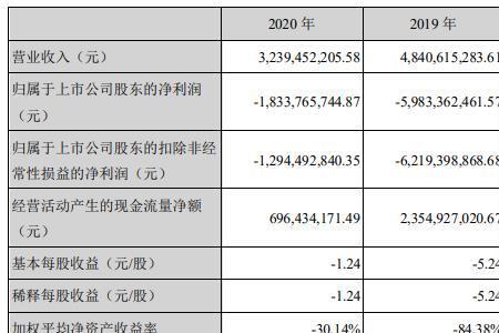 录得亏损是什么意思