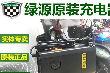 绿源电动车充电器是几股线