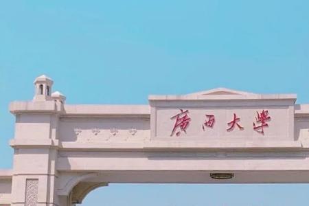 三百多分能上南宁哪些大学