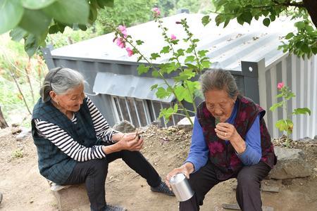 别人说全村最闲怎么回