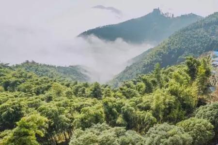 莫干山十一月天气冷吗