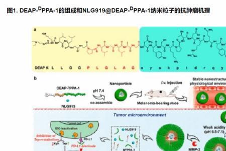 peg是什么显示模式