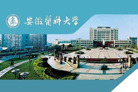 安徽医科大学5+3一体化就业前景