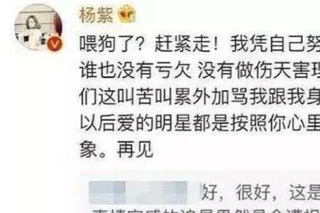 狂热粉什么意思