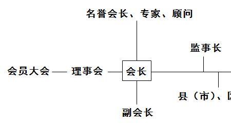 独立法人社会组织是什么意思