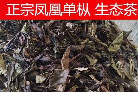 凤凰单丛茶一泡能冲几次