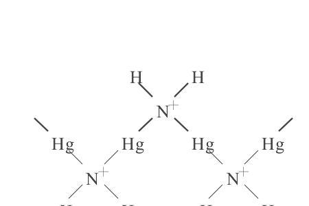 +2价的氢氧化物化学式