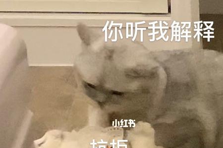 摸摸良心指的是什么