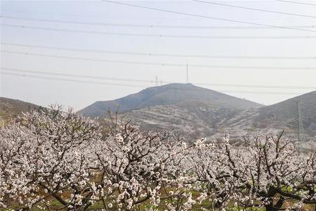 宿州是山区吗