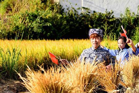 田野上的繁荣母亲过世哪一集