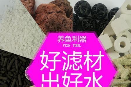 珊瑚石和活性炭哪个放上面