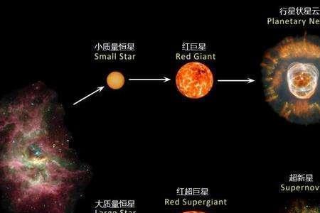 o型恒星大小比较