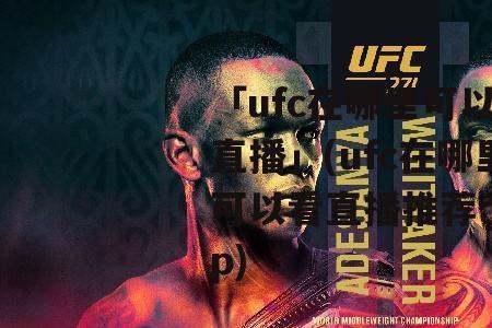 电视上怎么看ufc直播回放