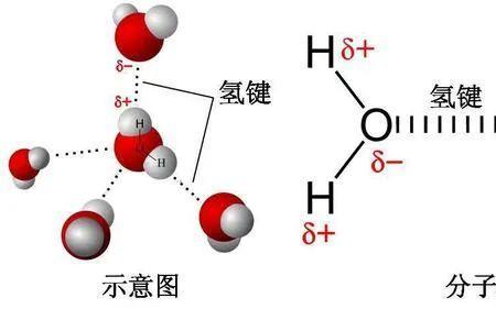 为什么水分子呈V型