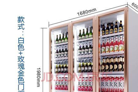 两门啤酒柜尺寸
