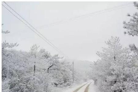 雪主什么意思