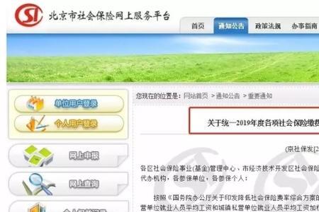 北京市失业保险怎么查询不到