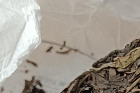 龙龙茶叶直播间的茶怎么样