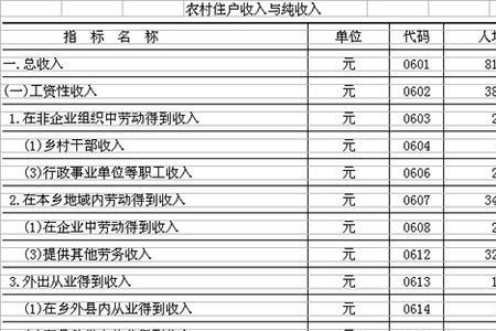 农村的纯收入怎样统计