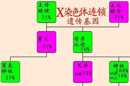 堂姐夫的父母怎么称呼