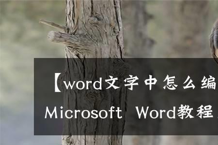 Word文档中对象是什么意思