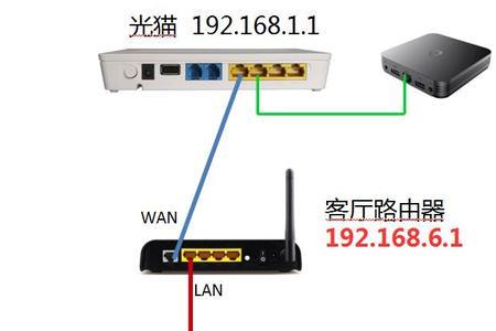 网线可以直接插到光猫吗