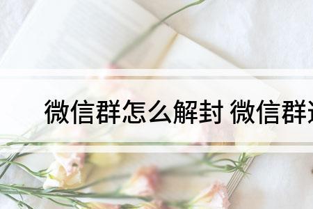 微信群被投诉怎么解封