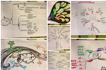 双立人白方反文读音