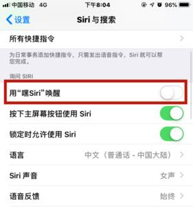 苹果x设置嘿siri无法录入