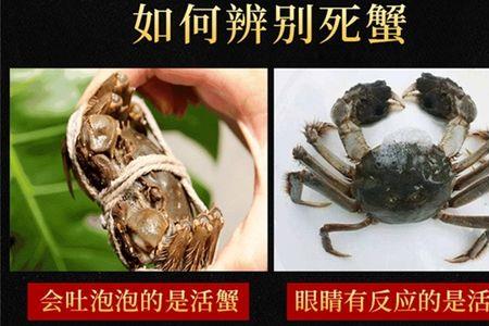 螃蟹开湖时间和方法