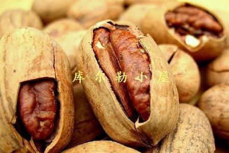 碧根果6月有新果吗