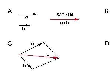 分量和位置的区别