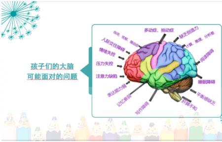 感官相通什么意思