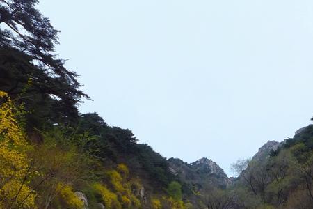 7月25日天津人能去泰山旅游吗