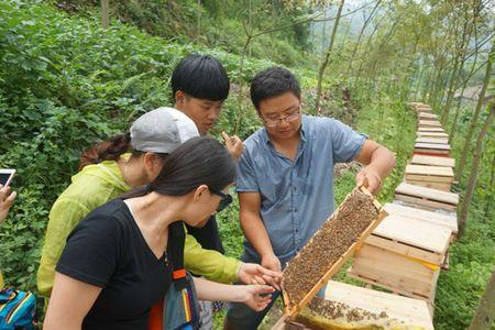 卖野生蜂蜜怎么跟客人讲