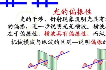 人眼能分辨自然光和偏振光吗