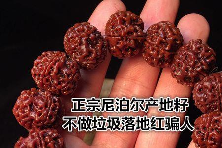 金刚菩提满肉和爆肉哪个好