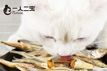 猫可以吃烤鱼片吗