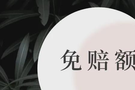 每次事故免赔额100元什么意思