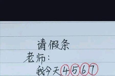 条更是什么意思