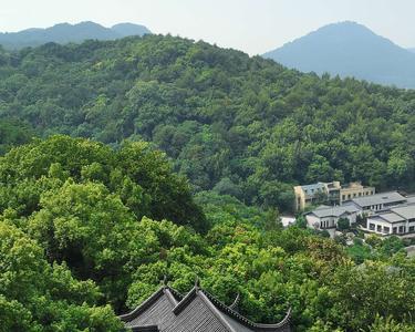 山外山和楼外楼哪个好