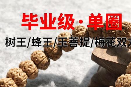 树王小金刚五瓣好还是六瓣的好