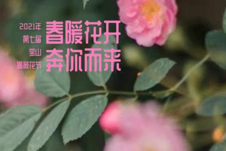 春暖花开待你而来什么意思