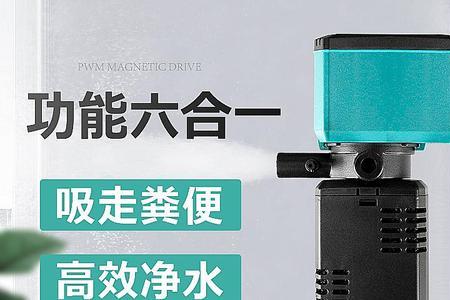 生态缸需要氧气泵吗