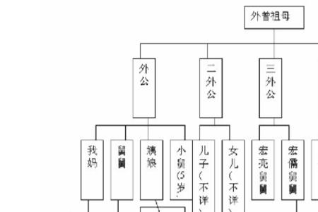 曾孙女和曾外孙女区别