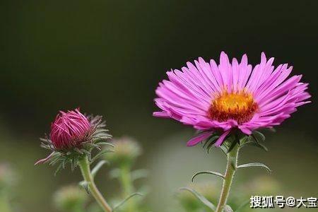 不图虚名的虚的意思